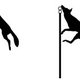 Image for article titled How To Keep Your Pets Safe From Coyotes